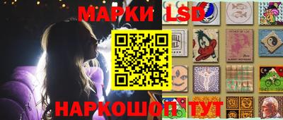 сатива Новозыбков