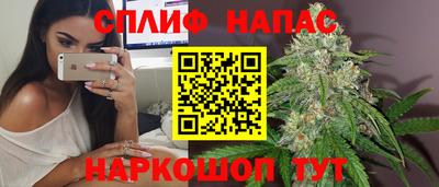 сатива Новозыбков
