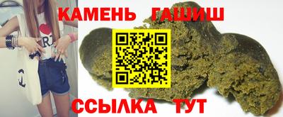 сатива Новозыбков