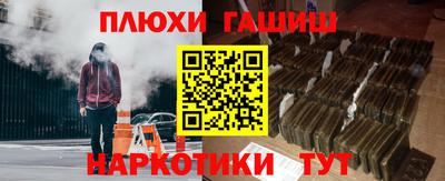 сатива Новозыбков
