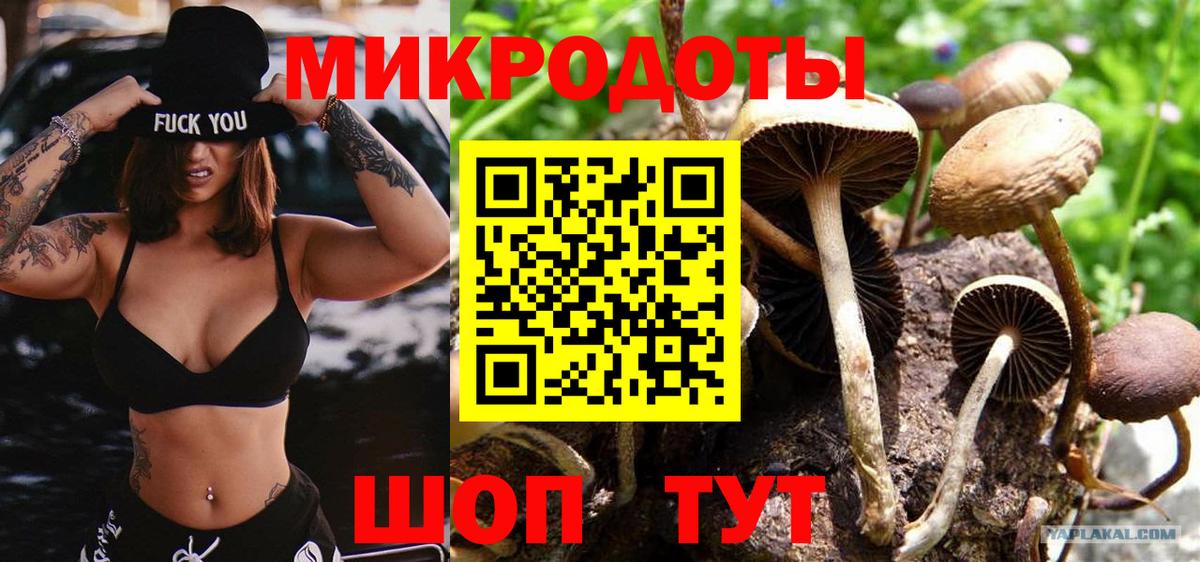 Сланцы  Псилоцибиновые грибы Magic Shrooms  Вход с VPN 
